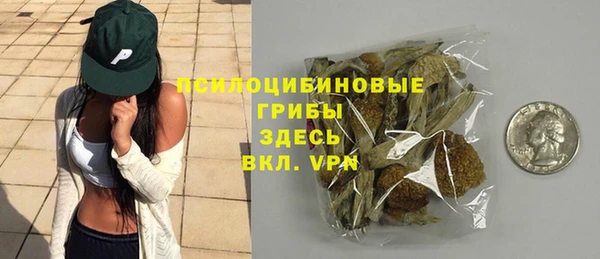 мескалин Арсеньев