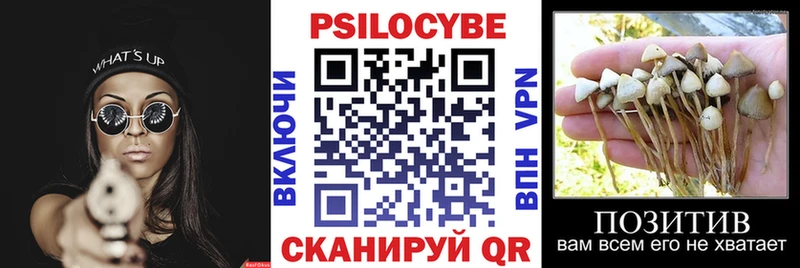 Псилоцибиновые грибы Psilocybe Орёл