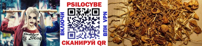 Купить закладки  Орёл  Галлюциногенные грибы прущие грибы 